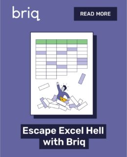 Escape EXCEL HELL With Briq