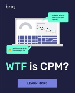 WTF is CPM software for Construction Financial Professionals?