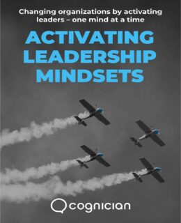 Activate Leadership Mindsets in 20 Days