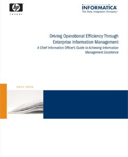 A CIO's Guide to Achieving Information Management Excellence