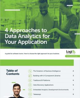 4 Approaches to Data Analytics for Your Application