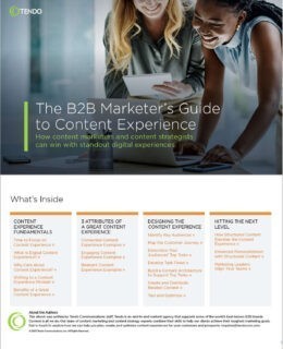 The B2B Marketer's Guide to Content Experience