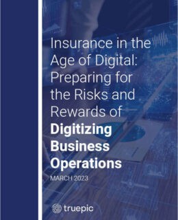 Insurance in the Age of Digital: Preparing for the Risks and Rewards of Digitizing Business Operations