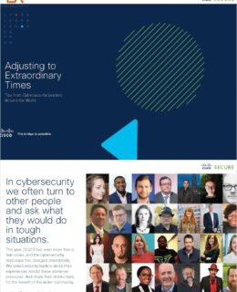 Adjusting to Extraordinary Times: Tips from cybersecurity leaders around the world