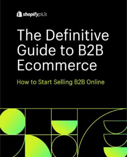 How to Start Selling B2B Online - The Definitive Guide