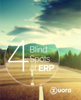 The 4 Blind Spots of ERP