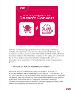 Why Your Ecommerce Site Doesn't Convert