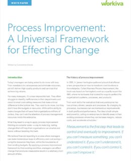 Process Improvement: A Universal Framework and Why It Matters