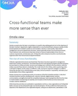 Cross-Functional Teams Make More Sense Than Ever