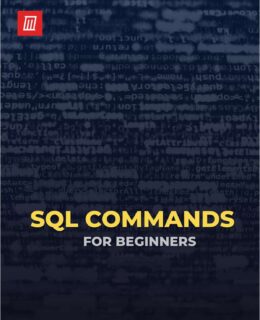 SQL Commands for Beginners