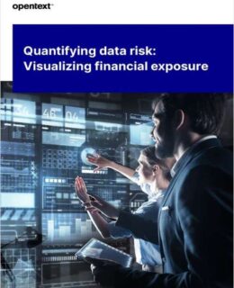 Quantifying Data Risk: A Strategic Approach for Visualizing Financial Exposure