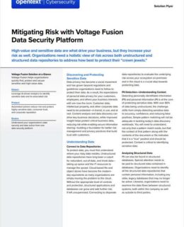 Mitigating Risk with Voltage Fusion Data Security Platform